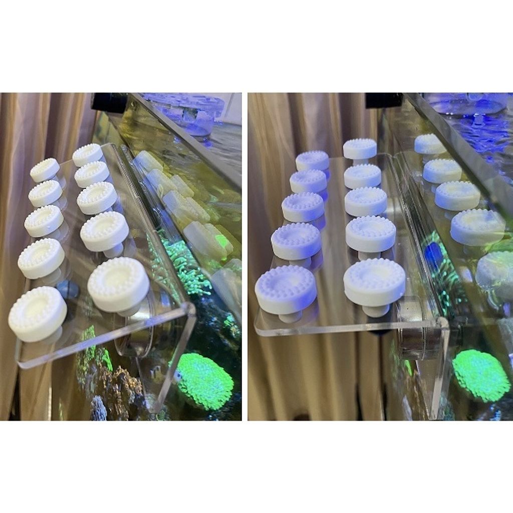 cac8ba48ae8697b201cbe7c027c0d9bd