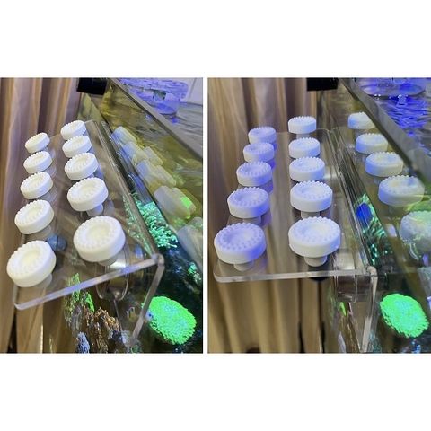 cac8ba48ae8697b201cbe7c027c0d9bd