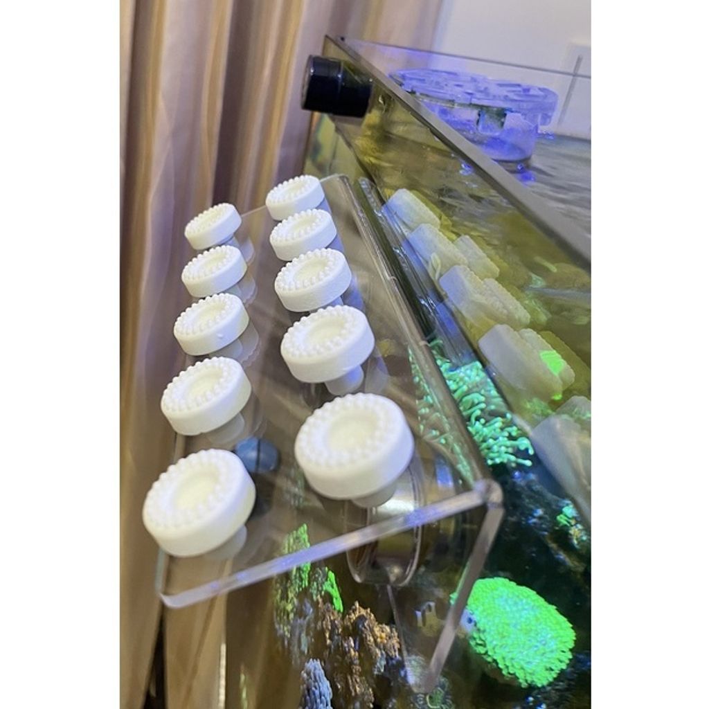 5918d2fc0fc0b321da1c830819931c3e