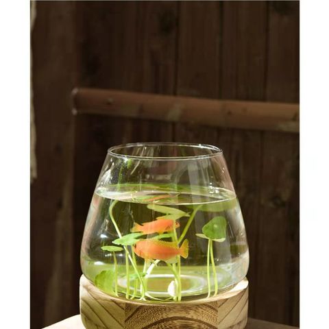 tw-11134207-23030-eke5kxjmqfov2d