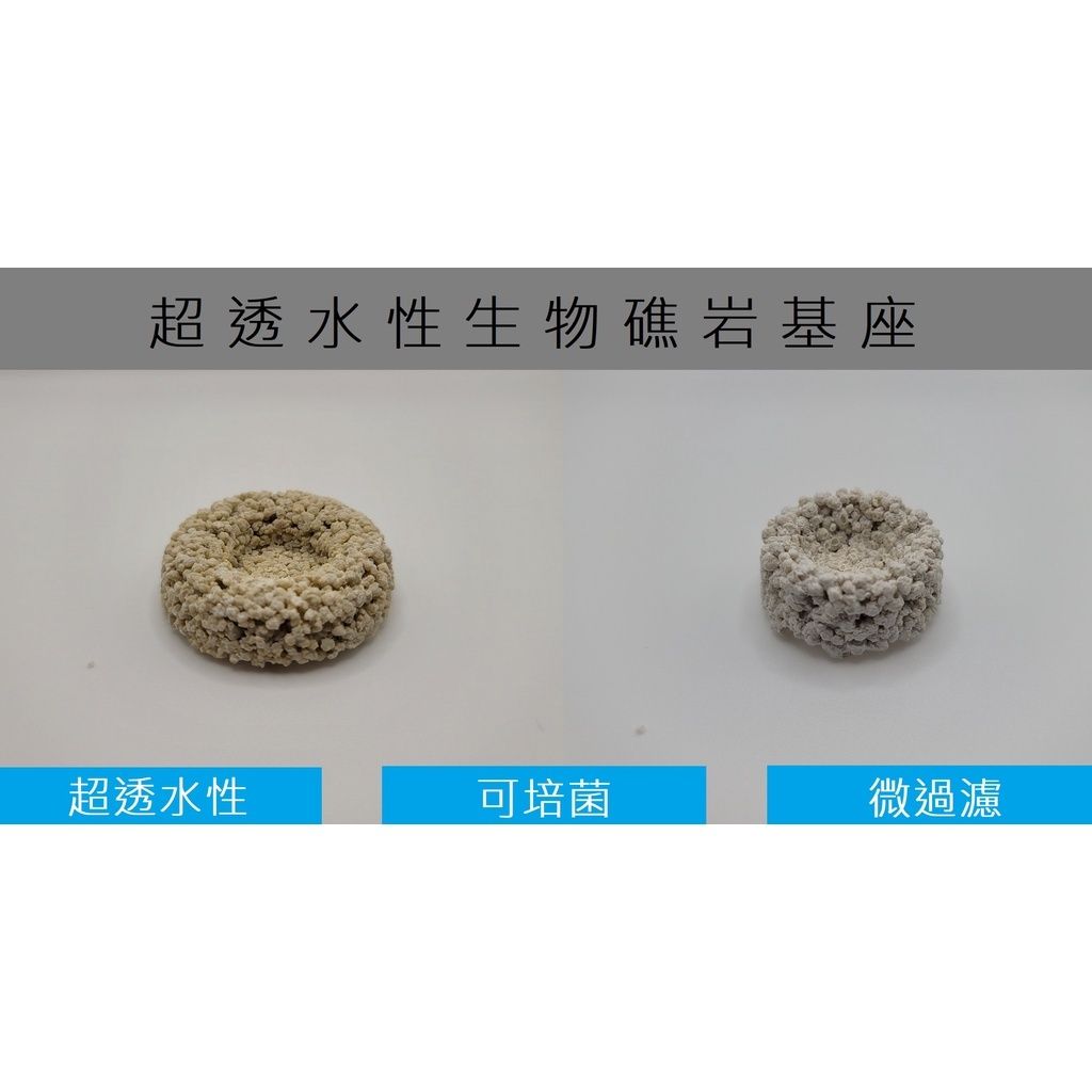 sg-11134201-22120-jy5p4a7cq7kv1a