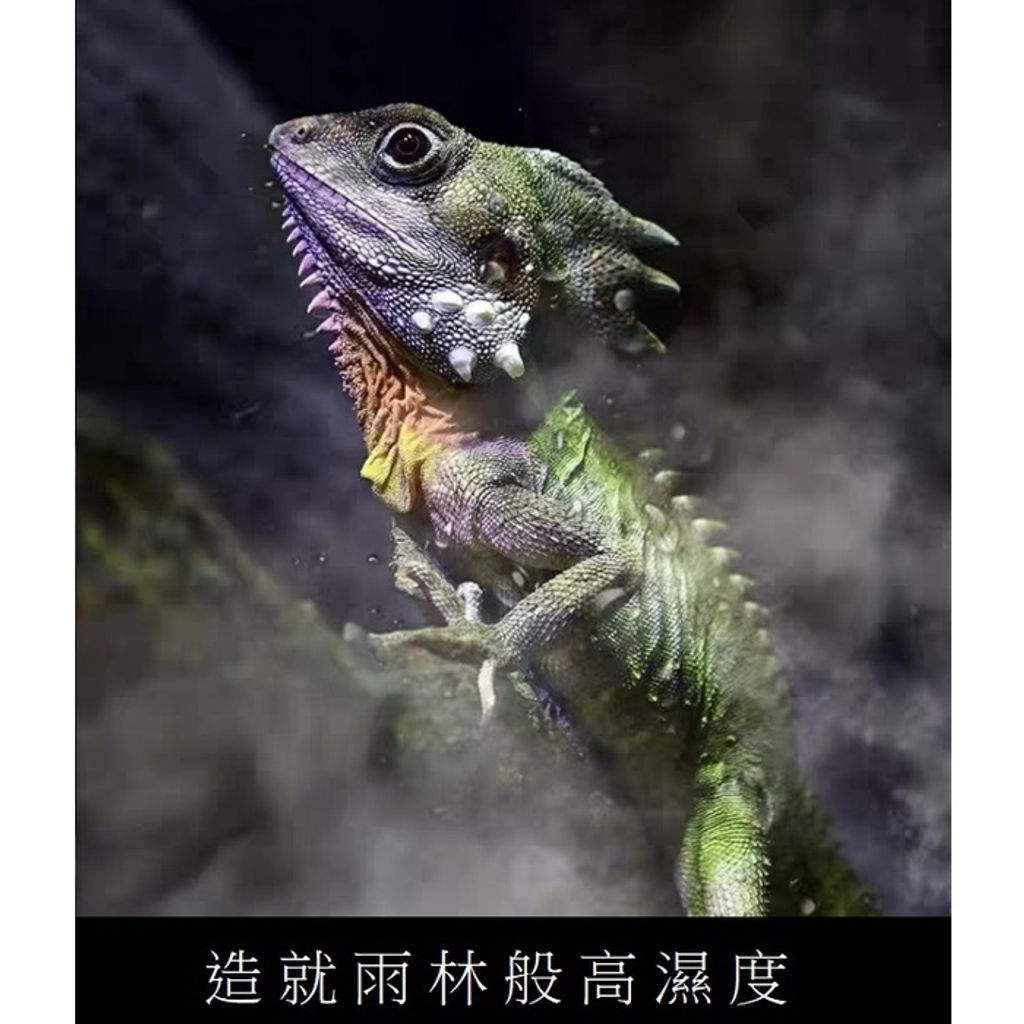 865711e521e110ec068c6784757ad7cf