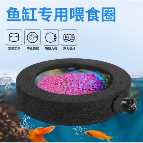 bcdd3df31743c72a68f2ce55b917502e