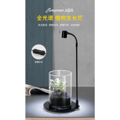 tw-11134207-7qul1-lhx48m2yz2ry8f