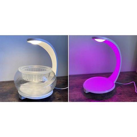 sg-11134201-23010-wq2xugp2u1lv1f