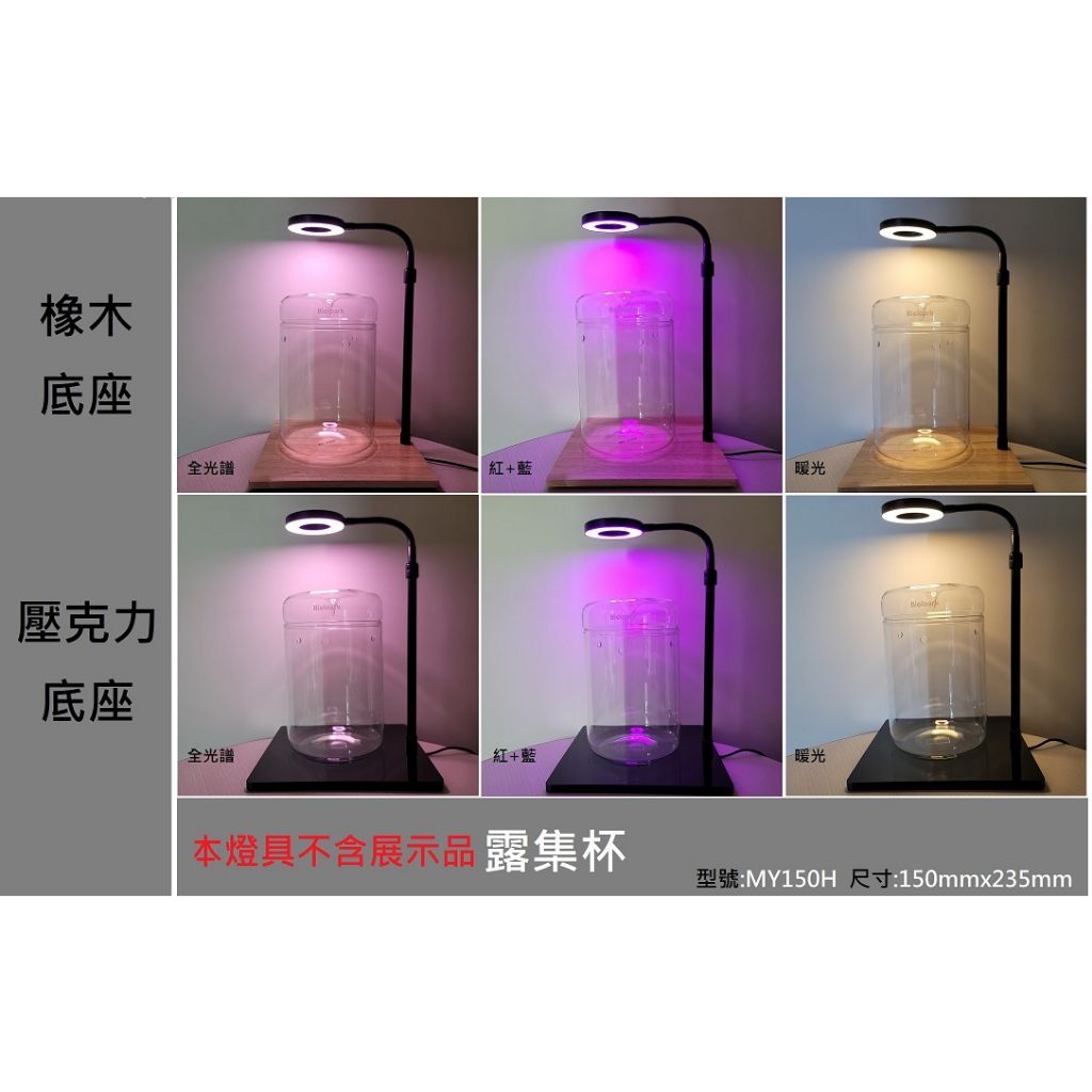 tw-11134207-7qul9-lfw2cat41t0q53