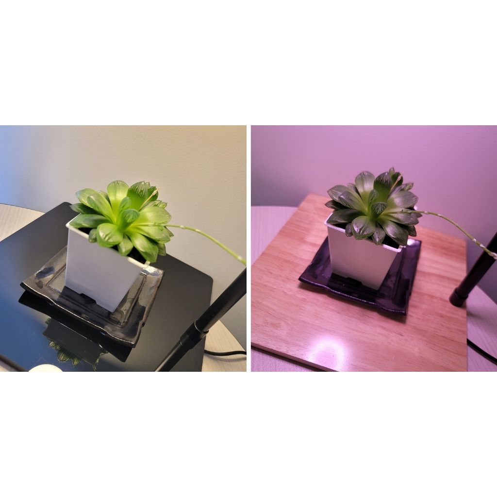 tw-11134207-7qul0-lfw2cat4h99mbb