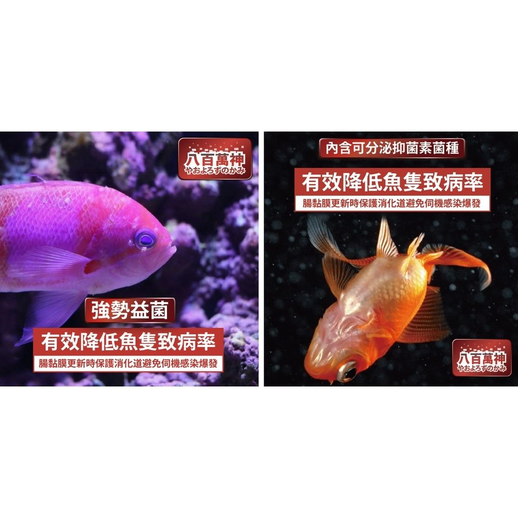 f3bd1c5e788fd119f1939b9c7fb717c5