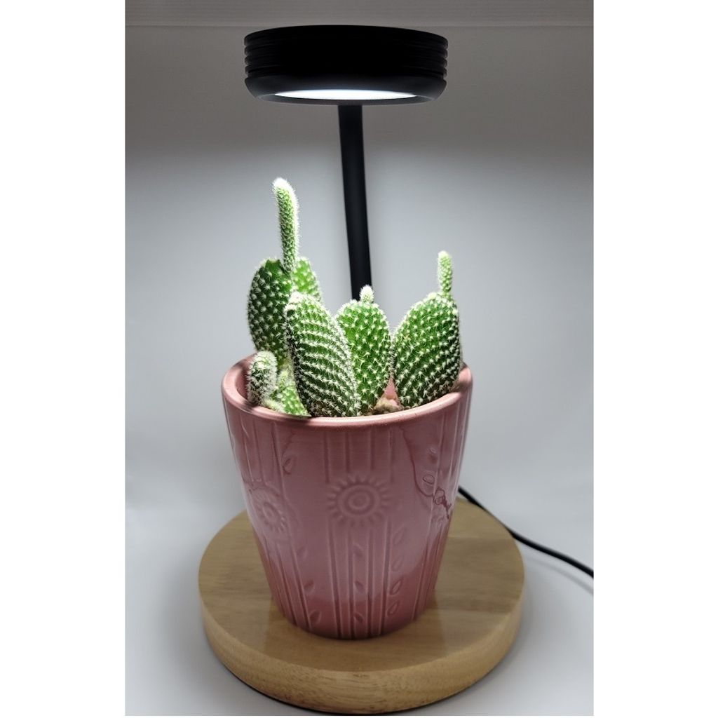 tw-11134207-81ztf-mhhn2955vrwj18