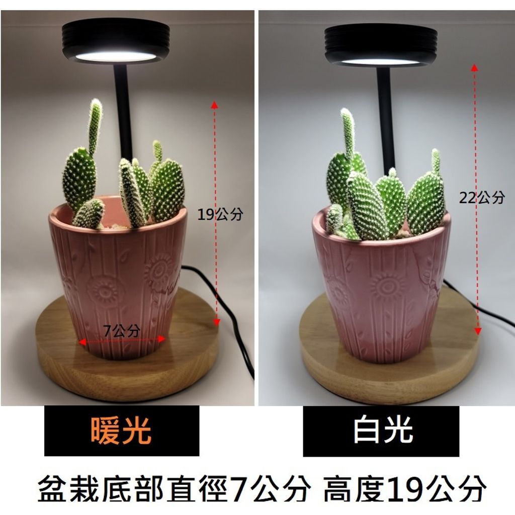 sg-11134201-22110-bnlo494ayojv34