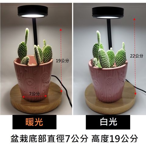 sg-11134201-22110-bnlo494ayojv34