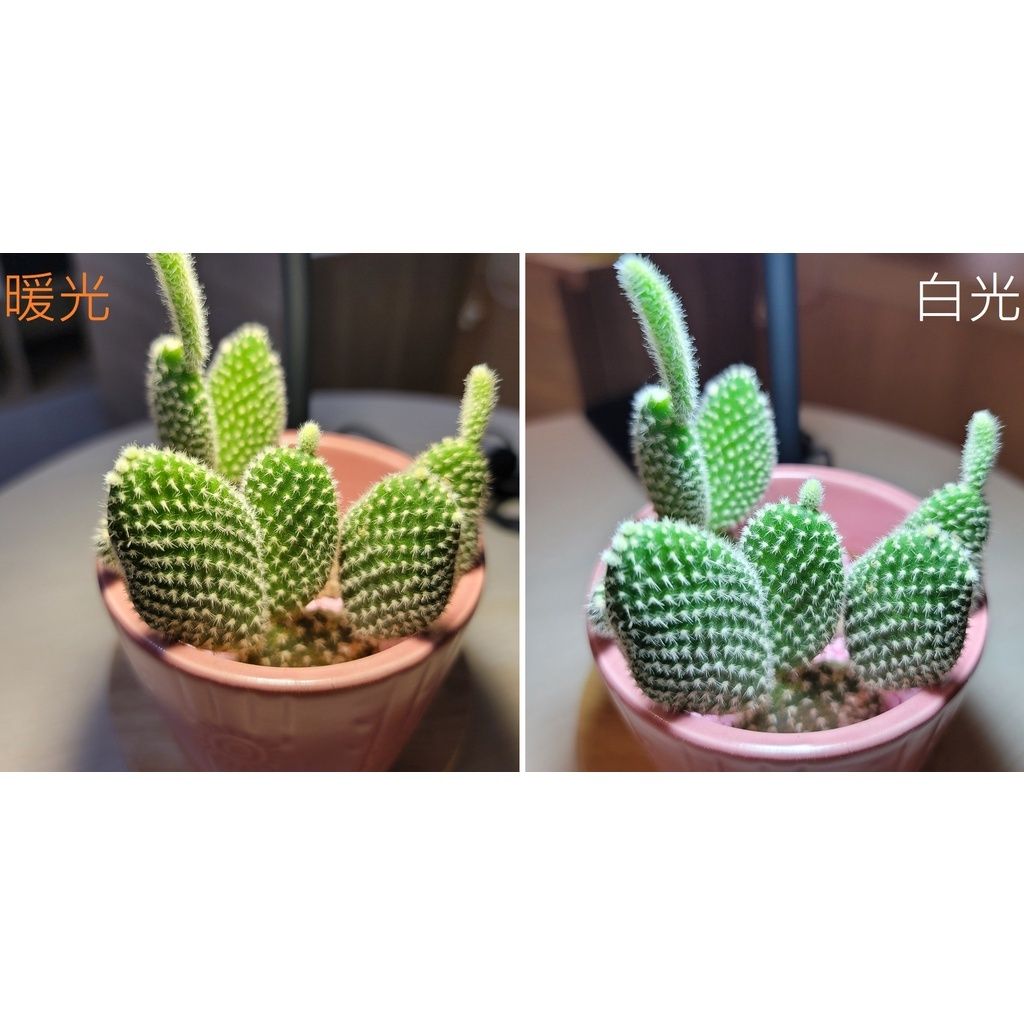 sg-11134201-22110-4o02co5ayojv9a