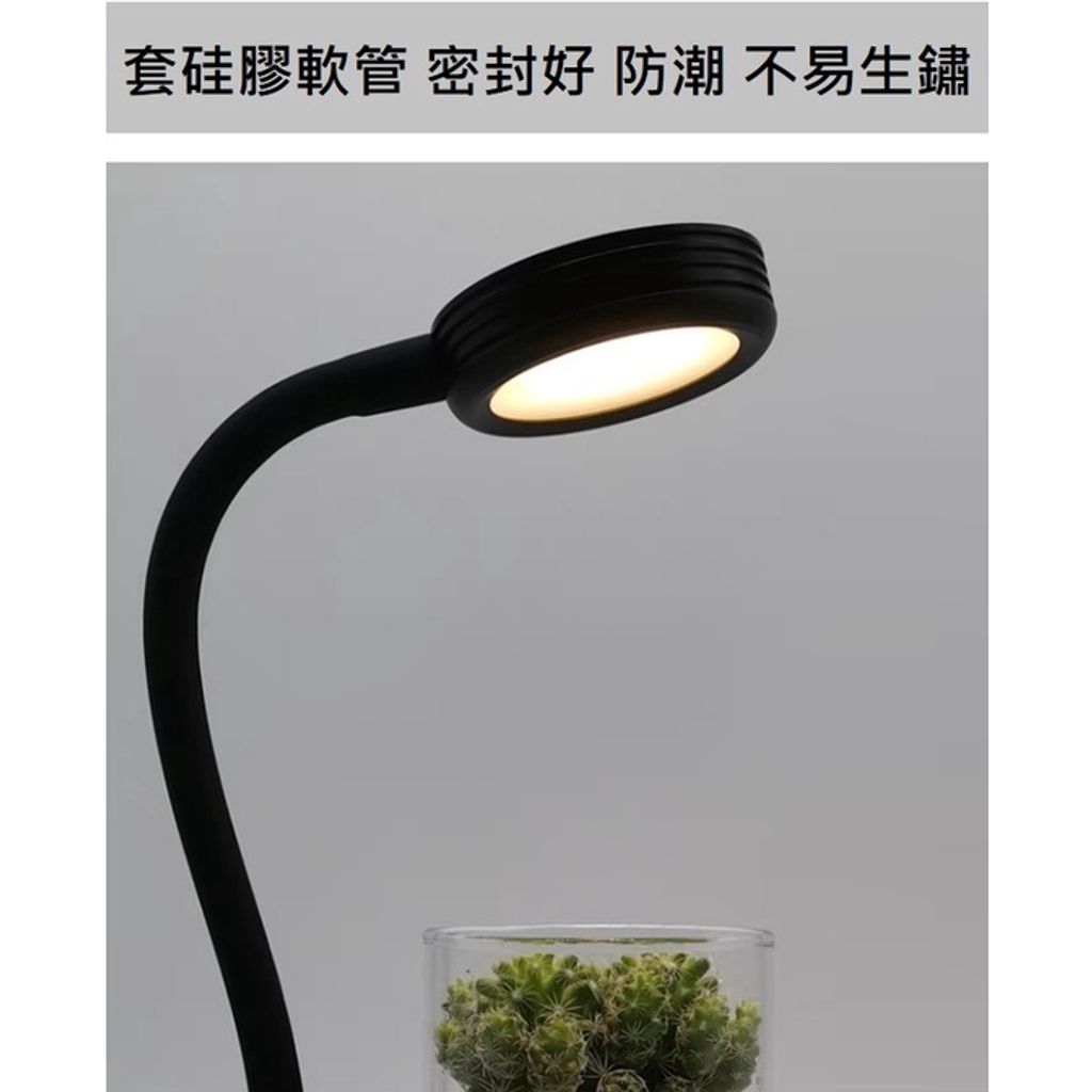 sg-11134201-22110-8n4fofwcmljv70