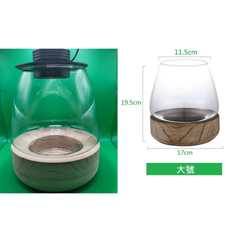 tw-11134207-7qul5-lhaajpzeydd5bf