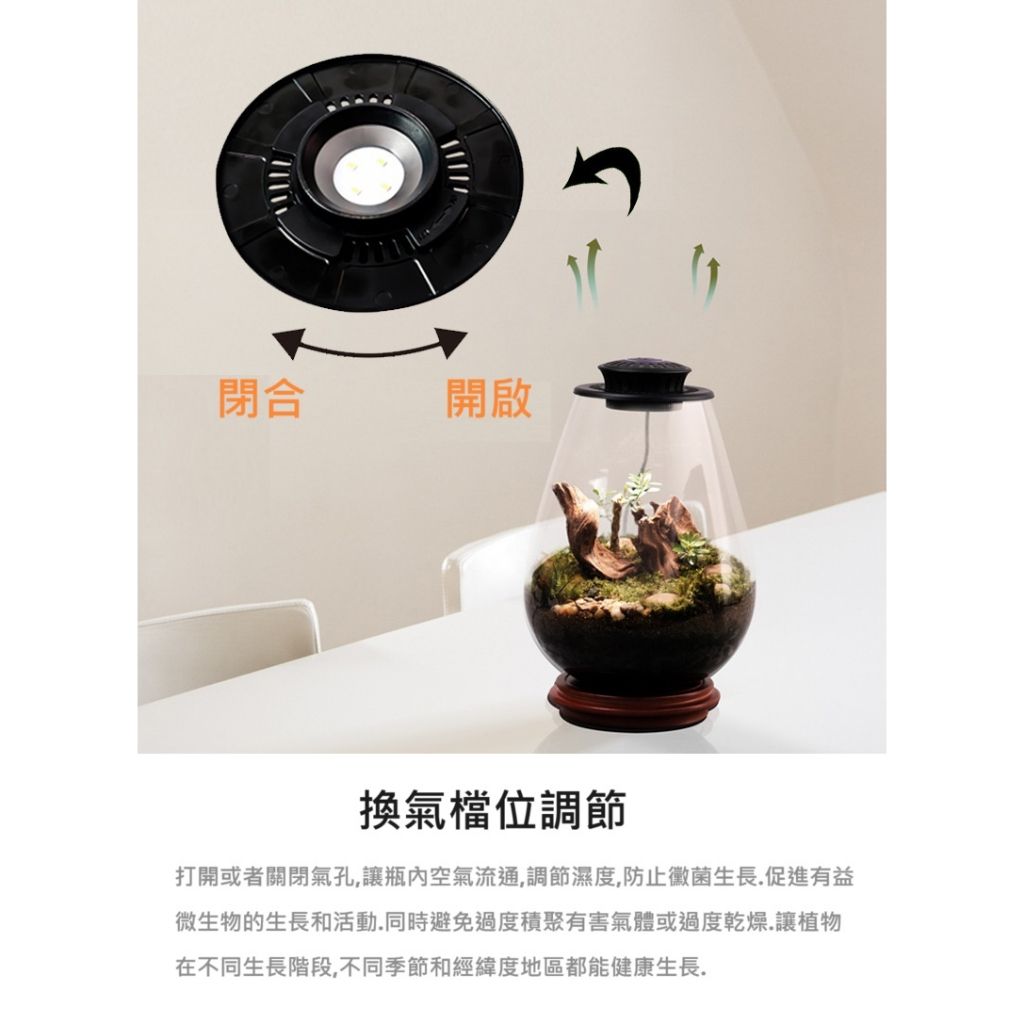 tw-11134207-7r98p-lm0esmvoj7vdc9