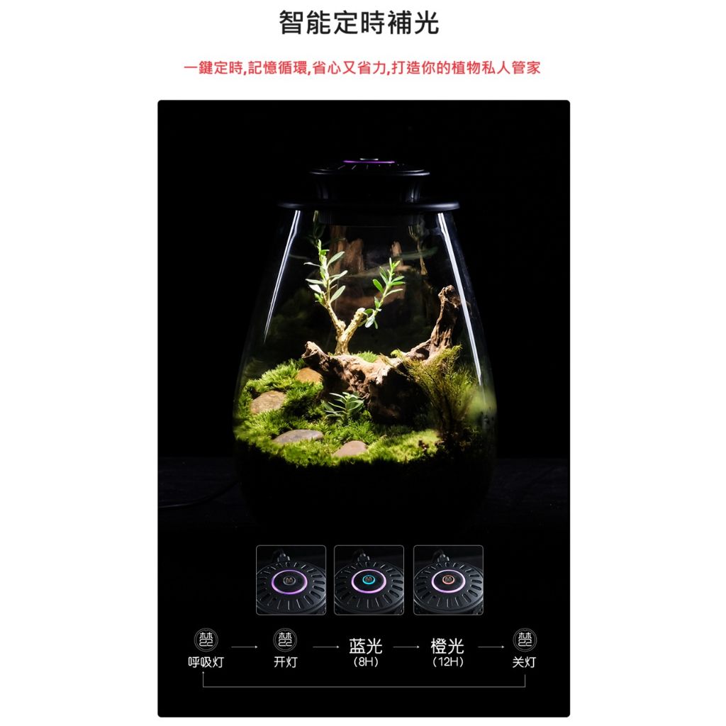 tw-11134207-7r98v-lm0esmvokmftd1