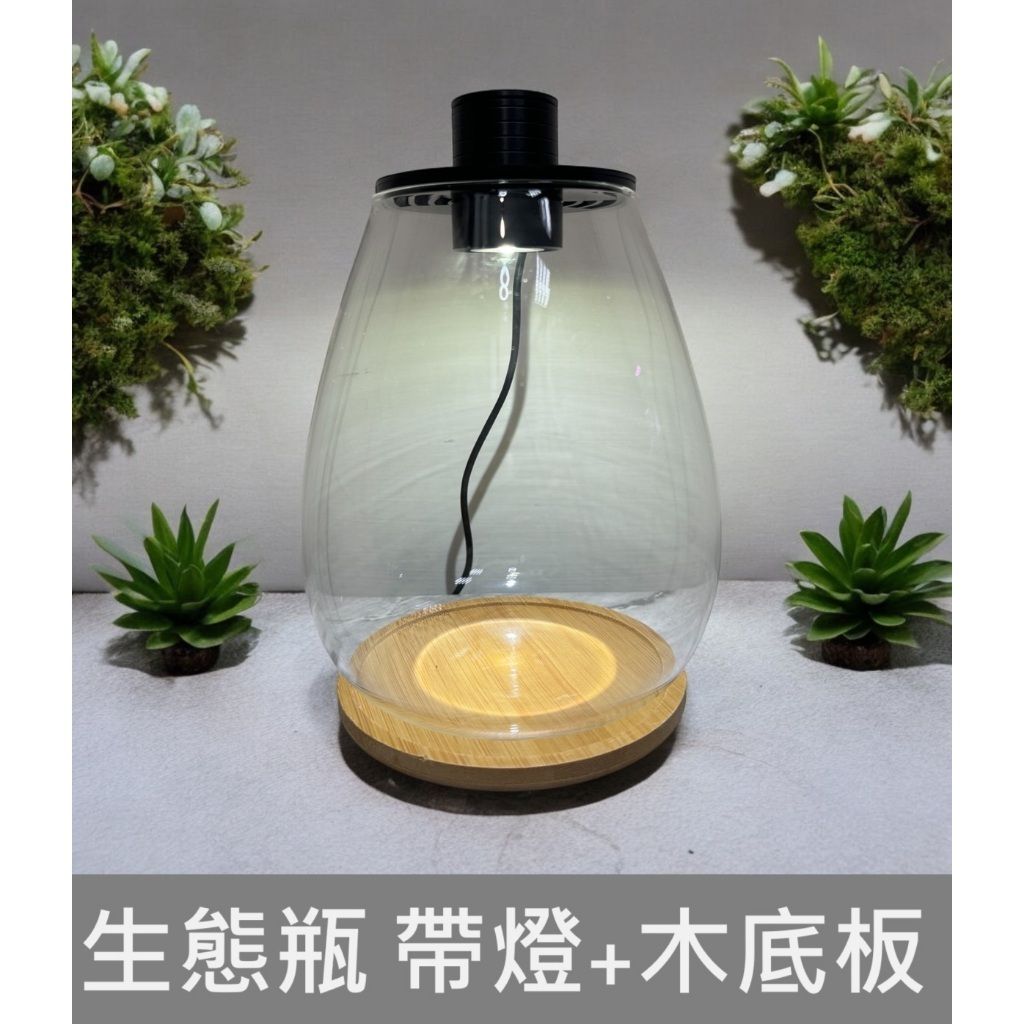 tw-11134207-7r98y-lxlbftr9n5tc4a