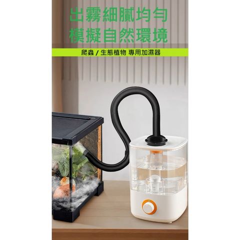 tw-11134207-7r98u-lx4ymfndt0s00b