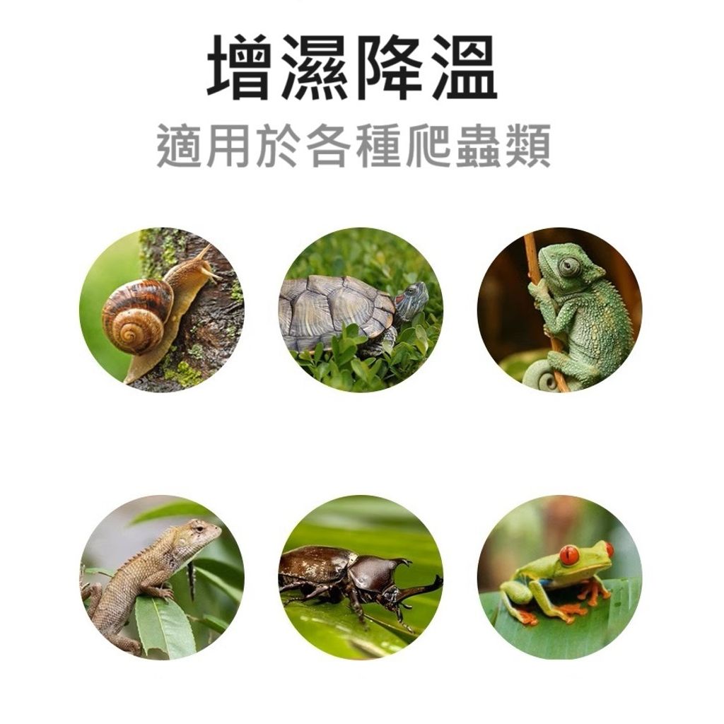 tw-11134207-7r990-lx4ymfndufcg62