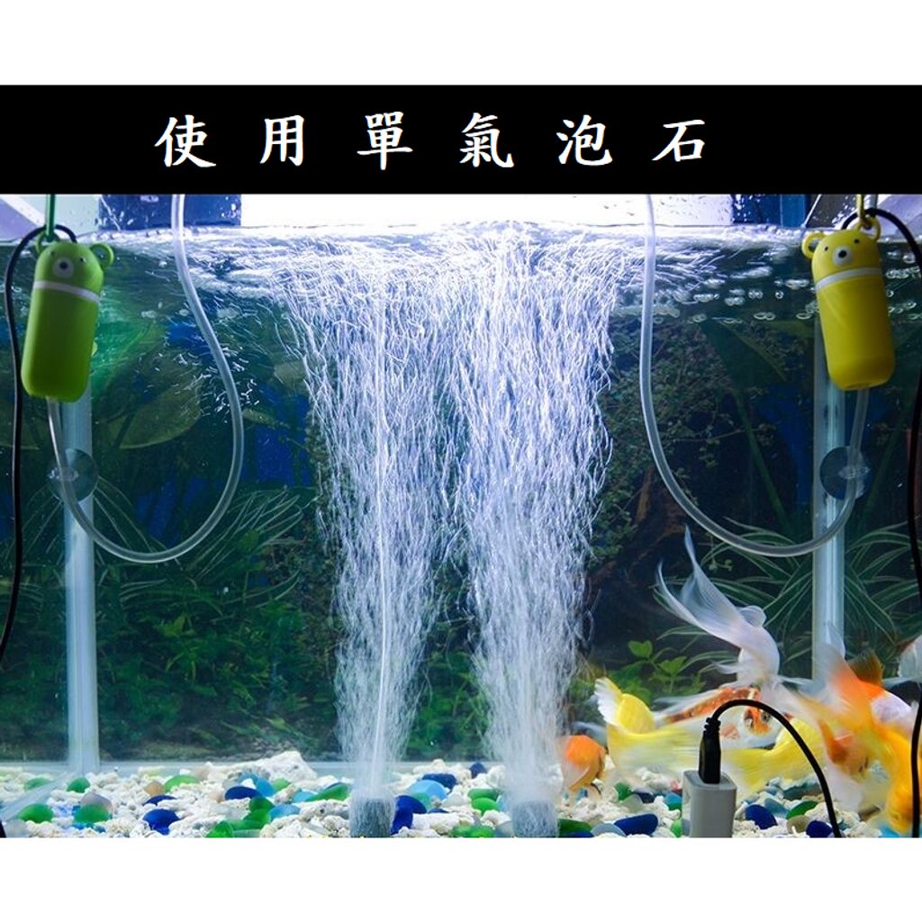 tw-11134207-7r98y-lrbd0jozrax4f6