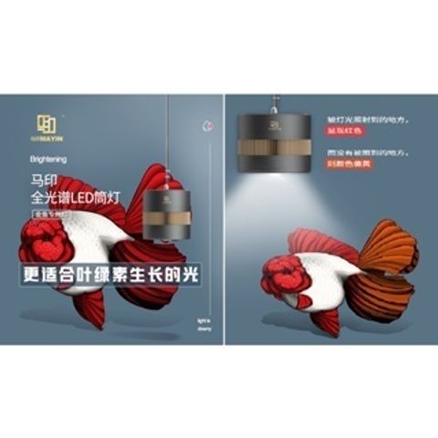 tw-11134207-7r990-lrliy1p24g5uc4