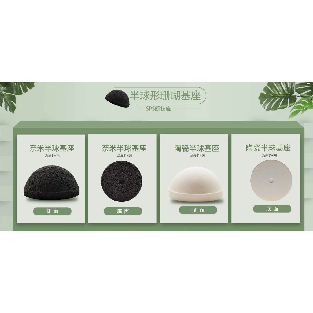 tw-11134207-7r98t-ls9czblevci04e