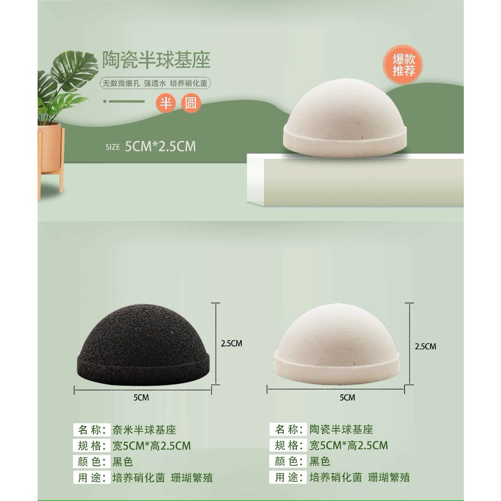 tw-11134207-7r98z-ls9czblewr2g6f