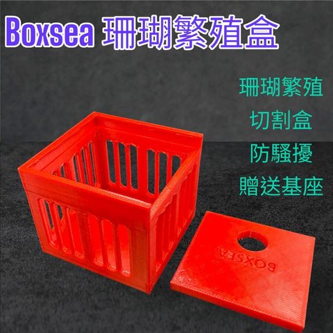 tw-11134207-7r98w-lsezt8ln4onm99