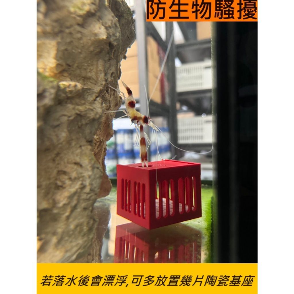 tw-11134207-7r98t-lsezt8m72hag0d