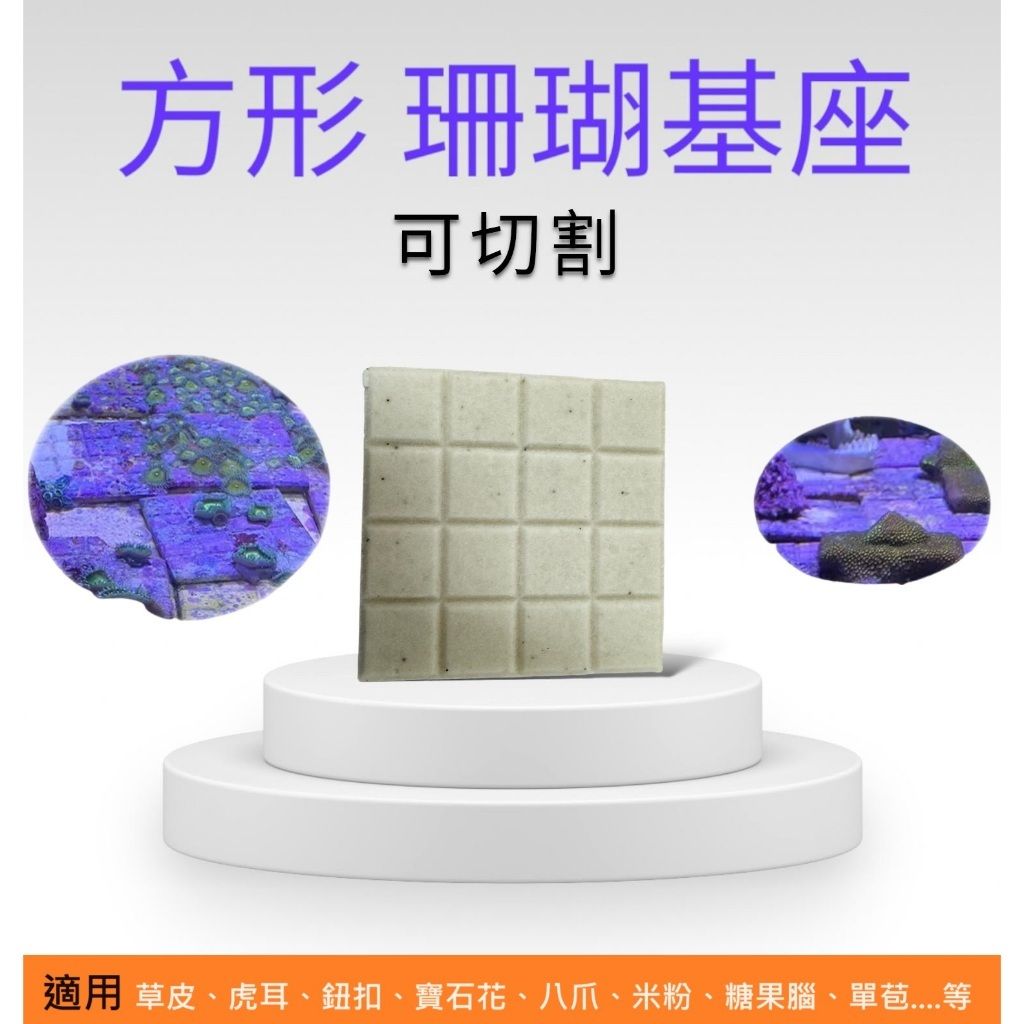 tw-11134207-7r98y-lsezt8lx8hqqf4