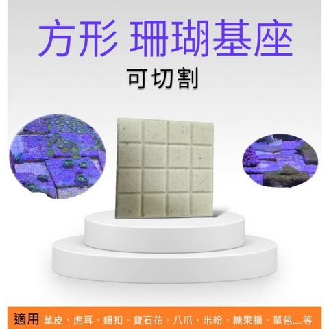 tw-11134207-7r98y-lsezt8lx8hqqf4