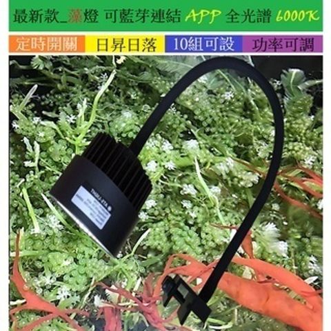 tw-11134207-7r98w-lx9tkt1og3lc8e