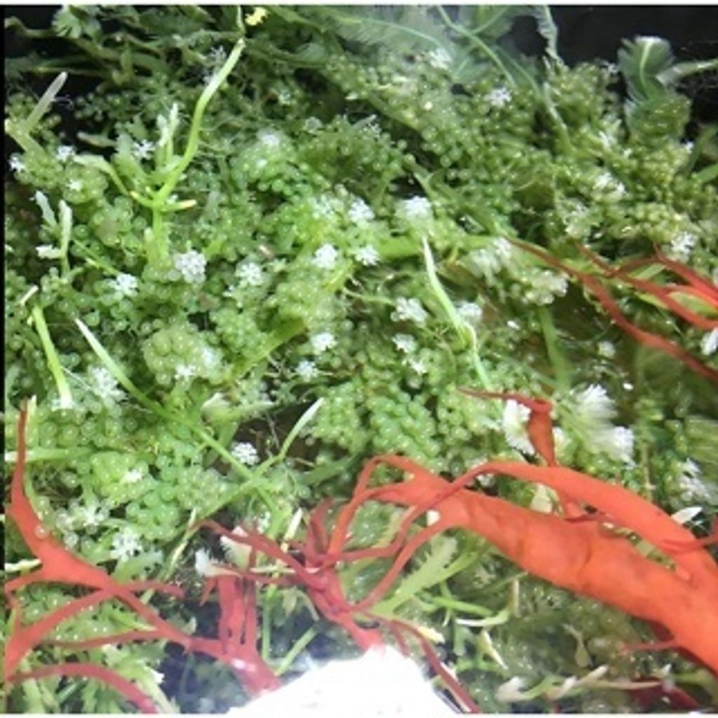 tw-11134207-7r98r-lx9tkt1ovju8d1