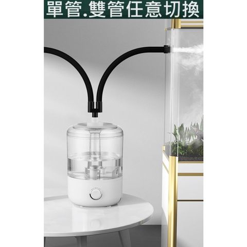 tw-11134207-7r98y-lxdsg3vj1fdy21