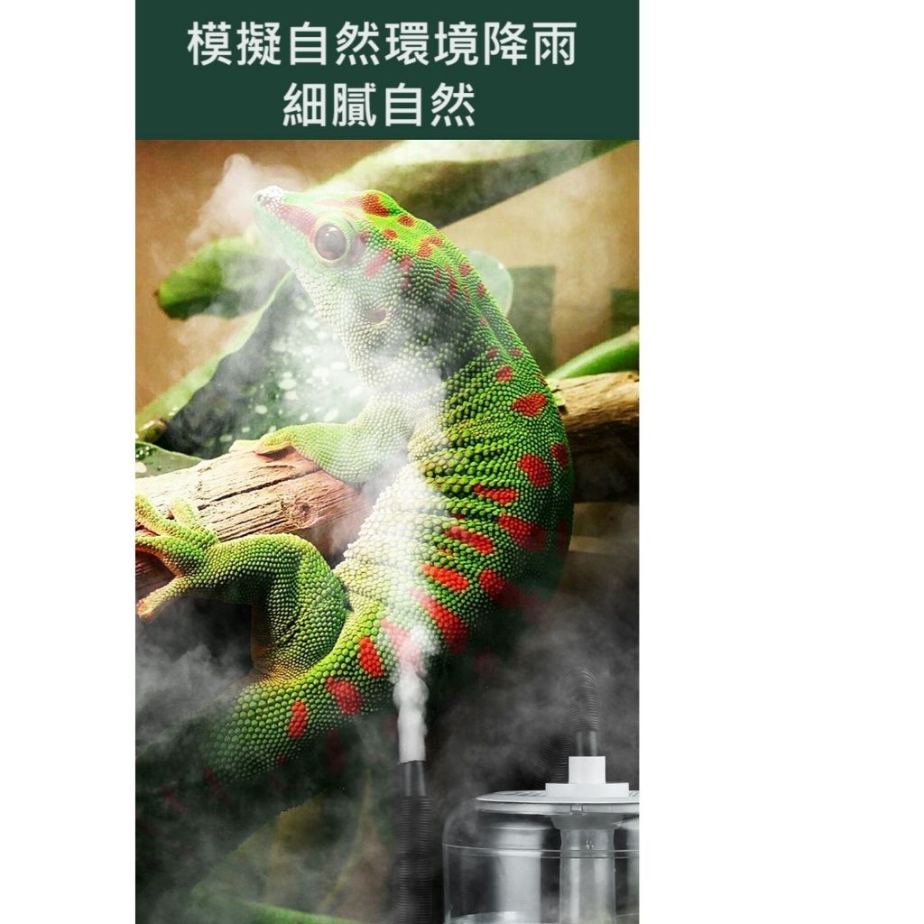 tw-11134207-7r98t-lxdsg3vj2tyeb0