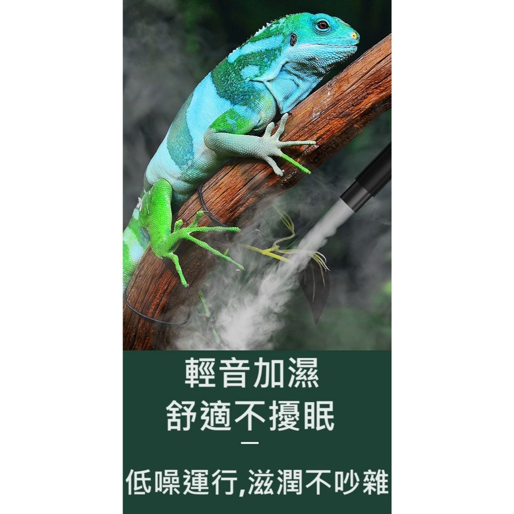 tw-11134207-7r98x-lxdsg3vj48iua8