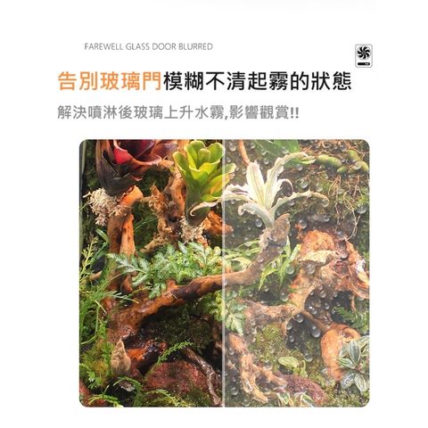 tw-11134207-7r98t-ltkxpqpqcbjj14