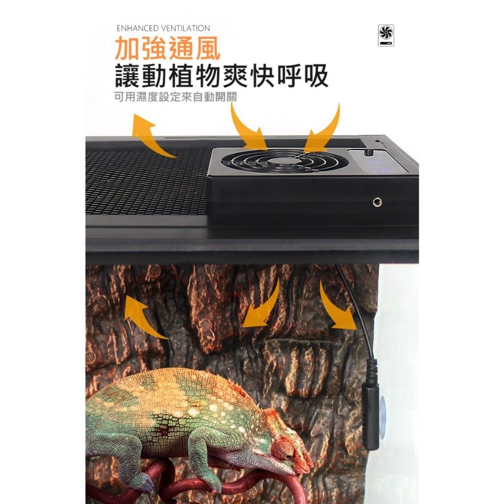 tw-11134207-7r98r-ltkxpqpqhxtb30