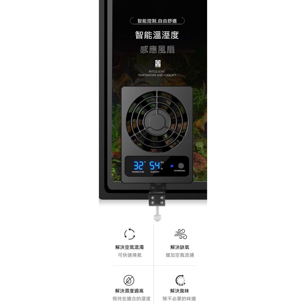 tw-11134207-7r98r-ltkxpqpqawz303