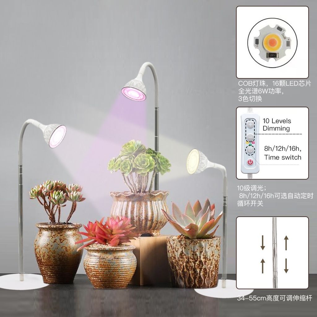 tw-11134207-7r98u-lvr3nwaxpfbrdd