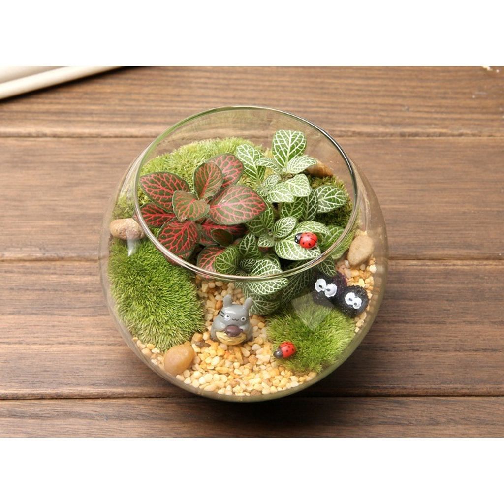 tw-11134207-7r98r-lvndnr0mvxsn12