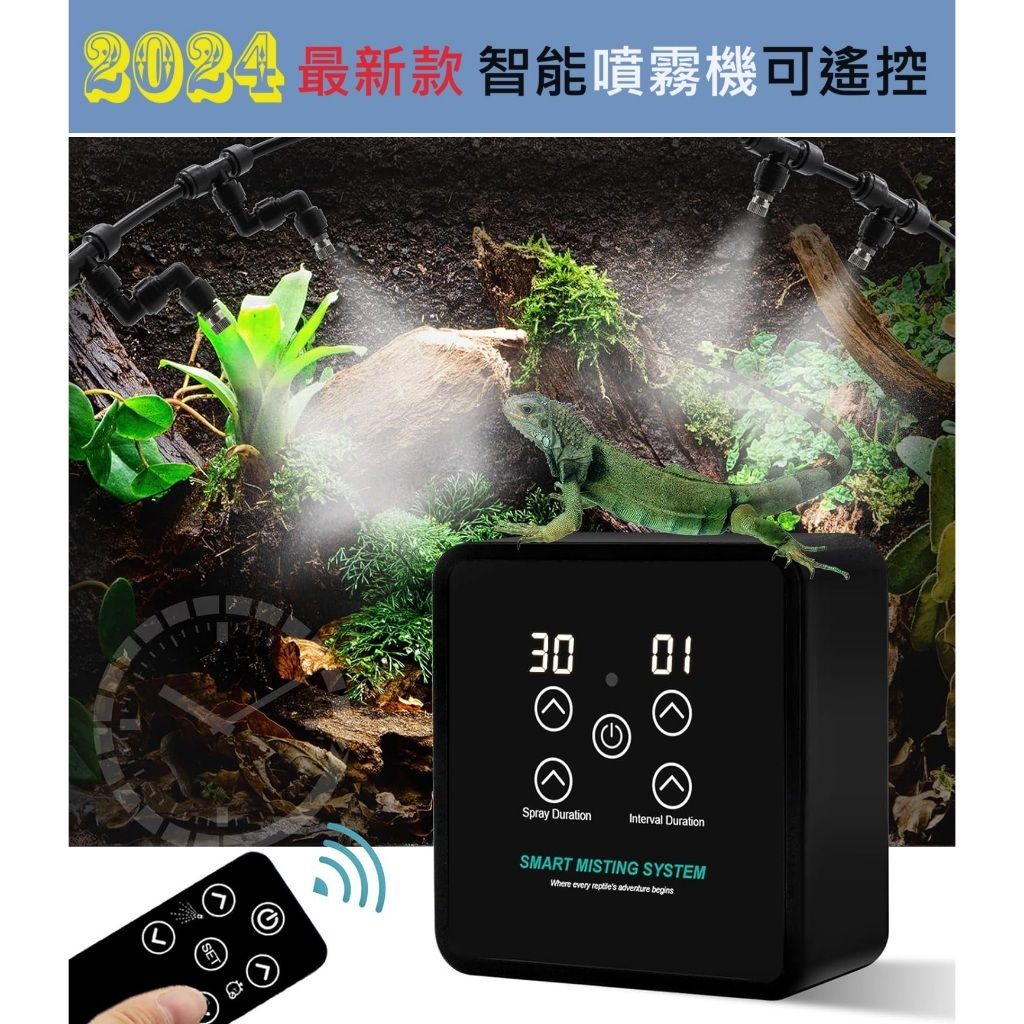 tw-11134207-7r98q-lz999ldgtkime8