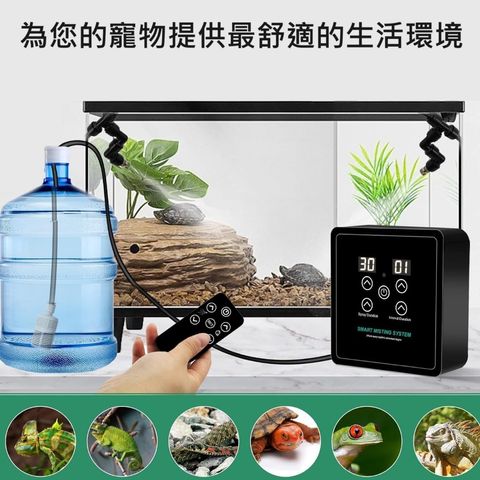 tw-11134207-7r98x-lz999ldgpcta81