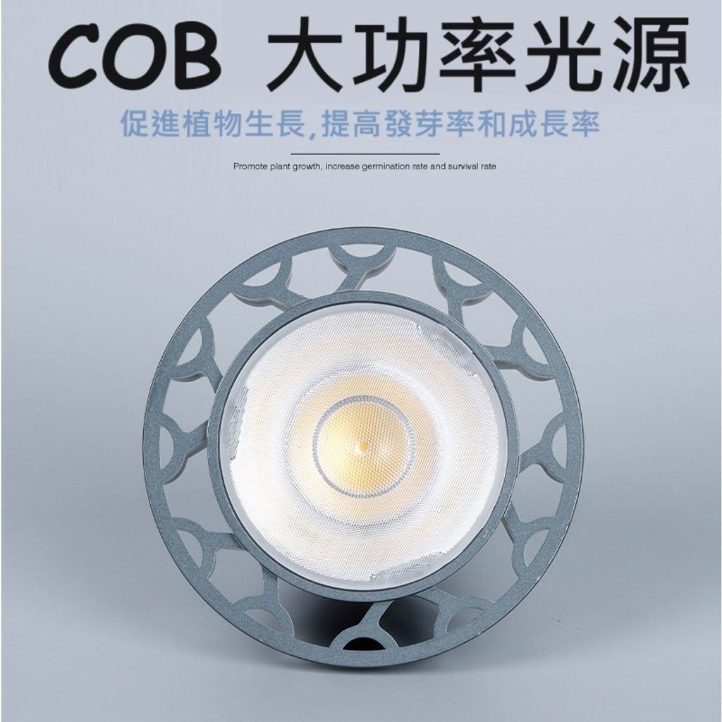 tw-11134207-7r990-ls3zsk2mvsnm5f