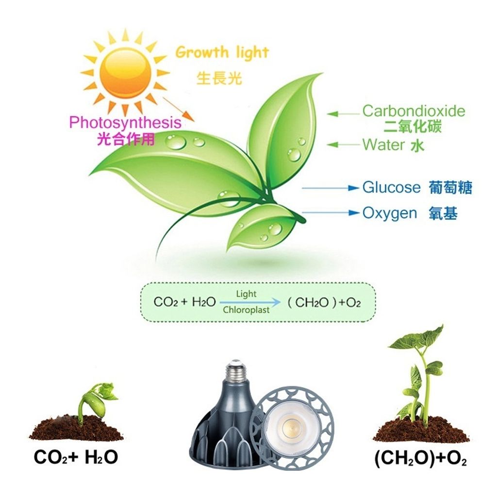 tw-11134207-7r98w-ls3zsk2wk5hu88