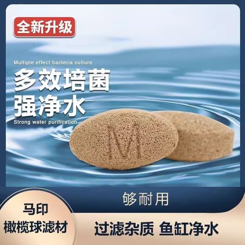 tw-11134207-7r990-lswvqxpx7z7s2c