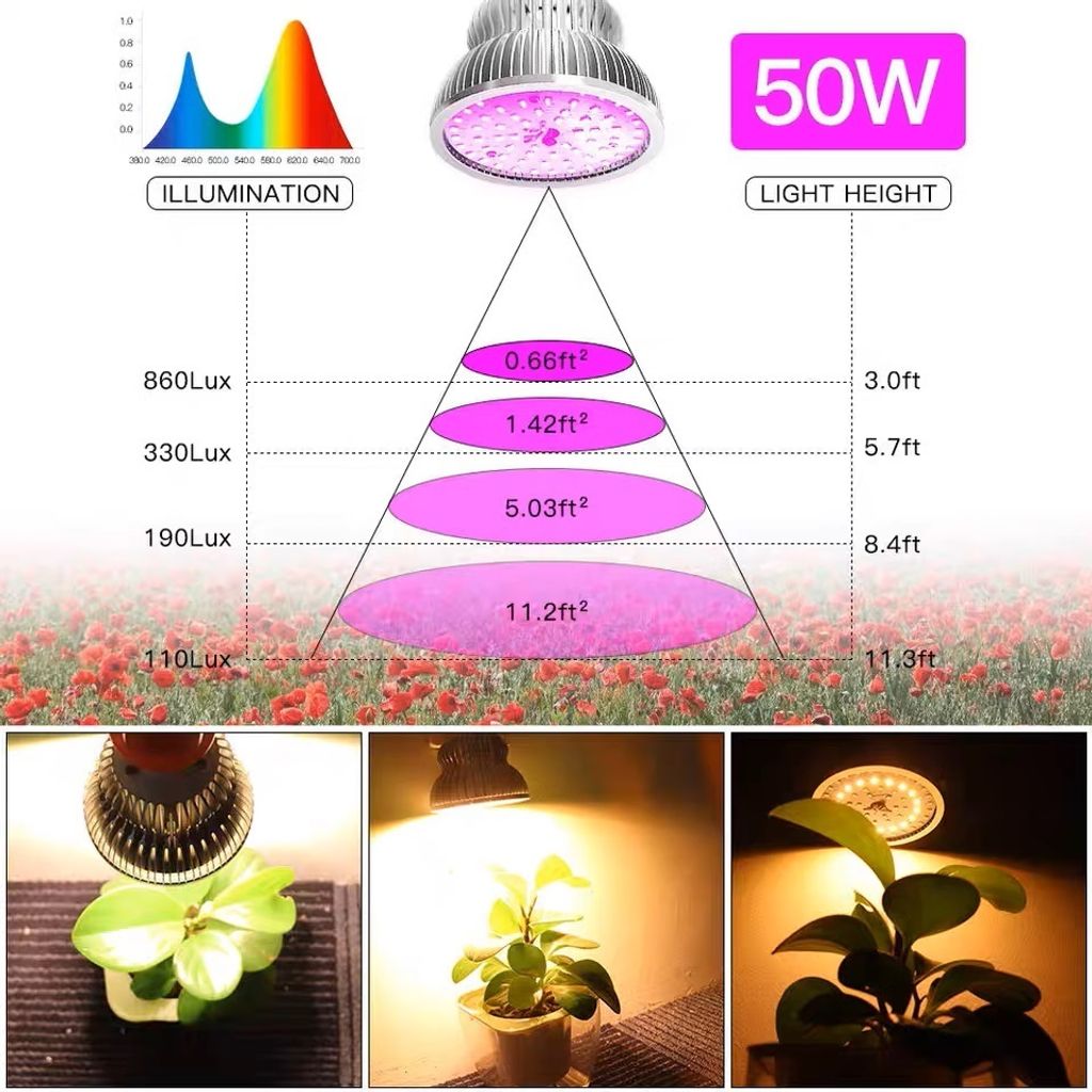 tw-11134207-7r98w-lvbetw38t7sp1a