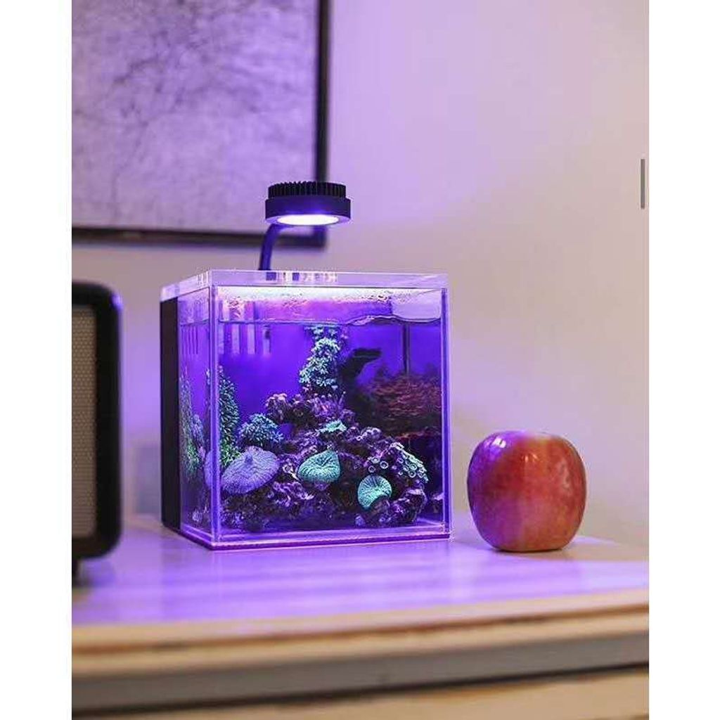 tw-11134207-7r98p-lx8cu9d9fe4020