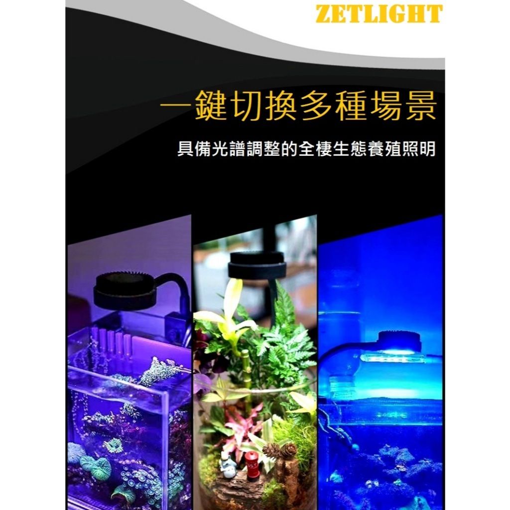 tw-11134207-7r98t-lx8cu9d8zy1y7b