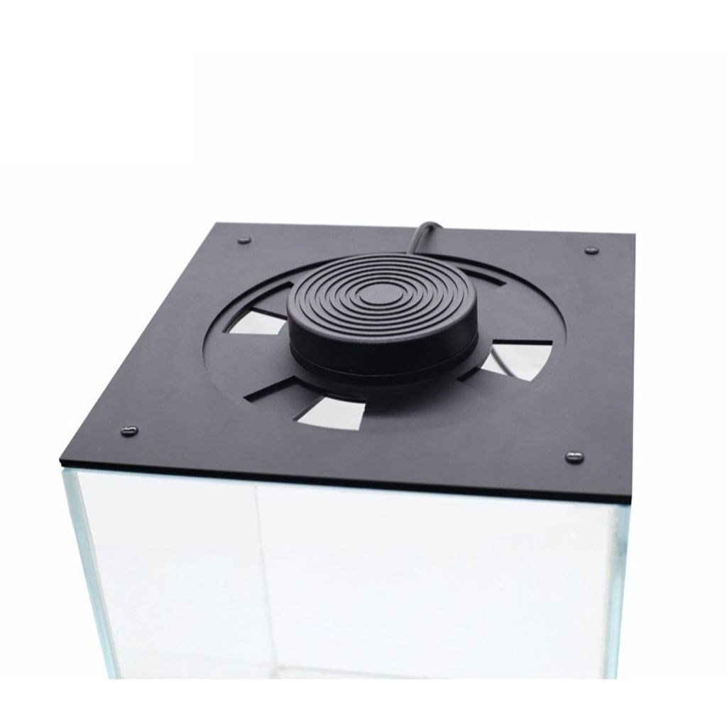 tw-11134207-7r98q-lxpijjc6rjn4cc